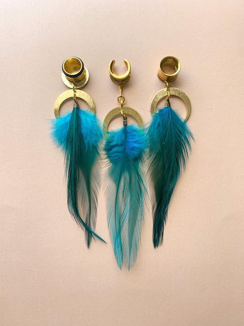 Teal Feather Earrings with Gold Brass Accents